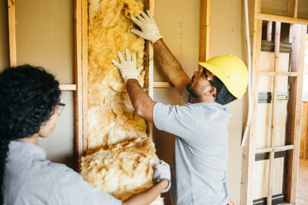 Best Insulation Removal  in Tyrone, PA